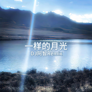 女添男的屁股的图片
